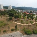 화단