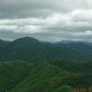 봉복사 - 1354 | 봉복사