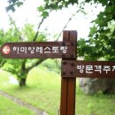 하미양 이미지