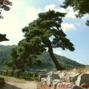 입암중학교 이미지