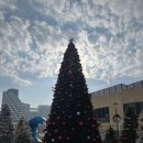 참좋은보조기 | 서울 가까운 눈썰매장 7살 아이랑 겨울방학 가기좋은 아이스링크 거북섬 스케이트장 후기