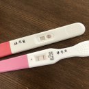 리네베베 | 둘째 콩콩 임신 일기 _출산 후 기록