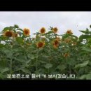 하모리-15 네이버블로그