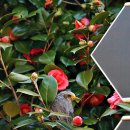 수영사적공원 이미지