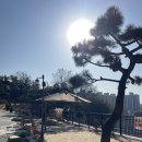 컵넛 진주초전점