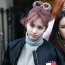 모모9
