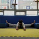 경희대한결태권도 이미지