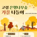 농기계임대사업소 산동분소 | 경북 고령 은행나무숲 탐방- 대구 달성군 화원유원지 화원나루공원 트레킹