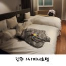 가족미니호텔 | 경주 141 미니호텔, 경주 가성비호텔 가족숙소 추천,내돈내산 후기