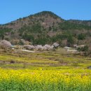 두모마을 이미지