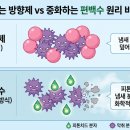나무옷장 - 예산군 천변로 185 | 편백나무 탈취제 효과 솔직 후기: 새집증후군과 옷장 냄새 진짜 잡힐까?