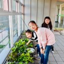 원곡동 주민자치센터 이미지