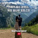 VIP 1급자동차정비마을 | 스위스 여행 뮤렌 통나무 포토스팟 - 인터라켄에서 뮤렌 가는 법
