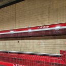 하버드식당 | 250818 보스턴 2일차(2) : 하버드대학교 무료 투어, MIT 무료 투어 예약 및 후기