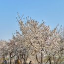 세븐일레븐 수원화서역점 이미지