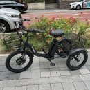 삼아전기열쇠 | 성인용 전기 세발 자전거 비아지오 G3, 안전하게 타고 넉넉한 휴대공간까지