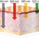 초지서로 이미지