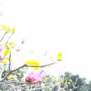 &#39;상납 장부 인정&#39; 이준석 물타기하다 실수로ㄷㄷ 유성 리베라 호텔경제학 난리났다 이미지