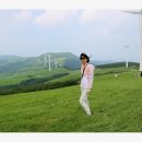 삼양목장 이미지