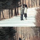 하트투하트 세계일보