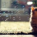 3 당구클럽 이미지