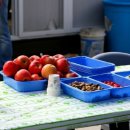 지누농장 이미지