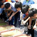 서울녹천초등학교 이미지