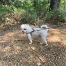 다섯번째이야기 이미지