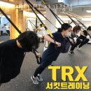 에브리데이피티
