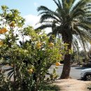 동원공인중개사사무소 이미지