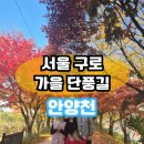 안양천 다목적광장 | 서울단풍명소 안양천 단풍길 산책 후기 – 서울 단풍산책하기 좋은 곳