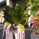 축협 맞은편 이미지