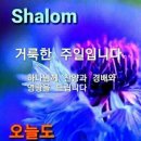 살롬