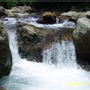 왜골민박 이미지