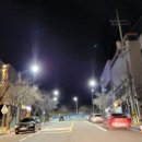 우수영동물병원 네이버블로그