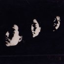 샴푸의요정 이미지