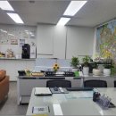 부동산 권리분석과 전세사기 예방법 이미지