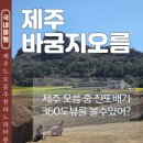 대정향교 | 제주도 봄 여행 바굼지오름 강아지 동반