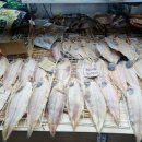 종합건어물 | 🐟 군산수산물종합센터 건어동 정식 개장건어물 장보기 좋은 곳 직접 다녀온 후기
