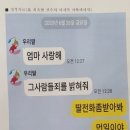 경주시청-3 티스토리
