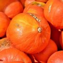 은하수 동물병원 이미지