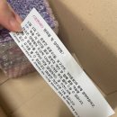 펄스온생명공학 이미지