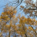 하도리경로당 이미지