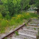 구)나주역 이미지