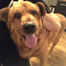 세상의 구석 이미지