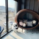 카페 휘가람 이미지