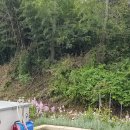 홍성부동산중개사무소 이미지