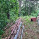 광양가야초등학교 이미지