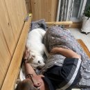 석전동268 이미지