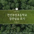 부성초등학교 | [교육실습 #43] 천안부성초등학교 참관 실습 후기